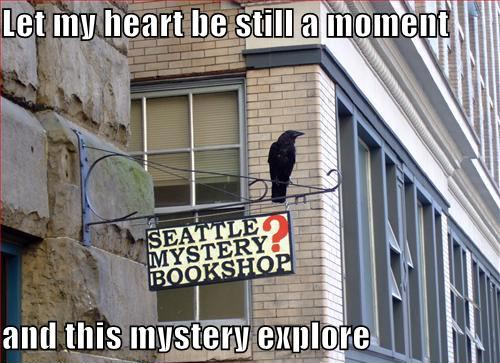 mystery_crow02